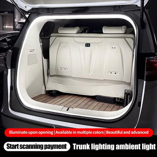 Dynamic Flowing Car Lights