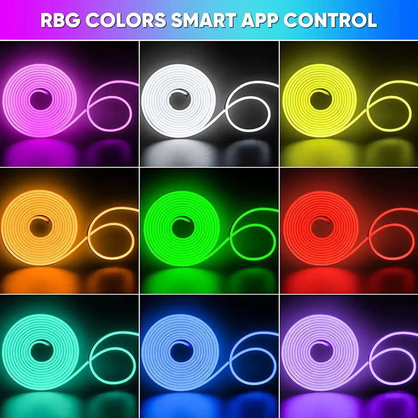 Vibrant Neon Home Light Kit