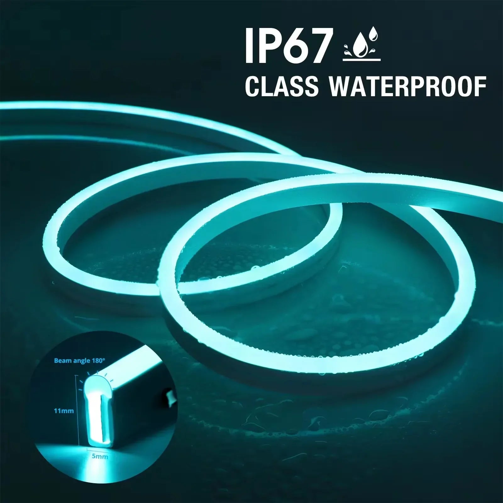 Vibrant Neon Home Light Kit